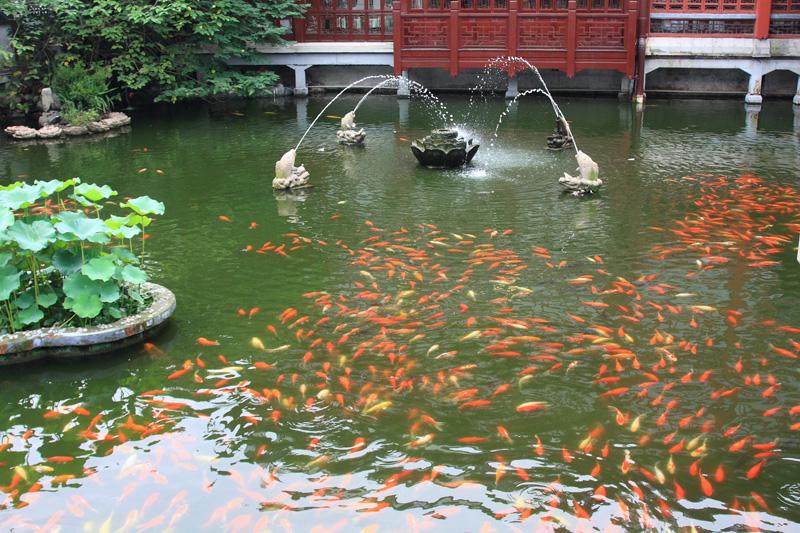 679-Shanghai,16 luglio 2014.JPG